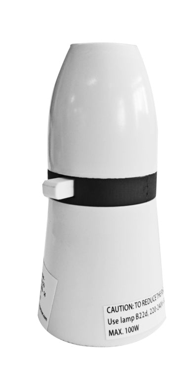 Securlec Switched T2 Lampholder White