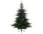 Kaemingk Grandis Green Fir Tree - 180cm