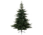 Kaemingk Grandis Green Fir Tree - 210cm