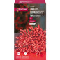Premier 200 LED Multi Action Supabrights With Timer - Red Clear Cable