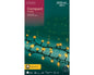 Kaemingk Lumineo Compact Twinkle LED Lights – Classic Warm & Cool White, 3000 LEDs, 60m, 2 Colours