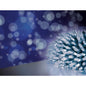 Premier Multi Action Fairy Cap Light String - 150 White LEDs