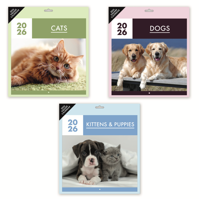 Ig Design Square Calendar Pets - 3 Assorted Designs