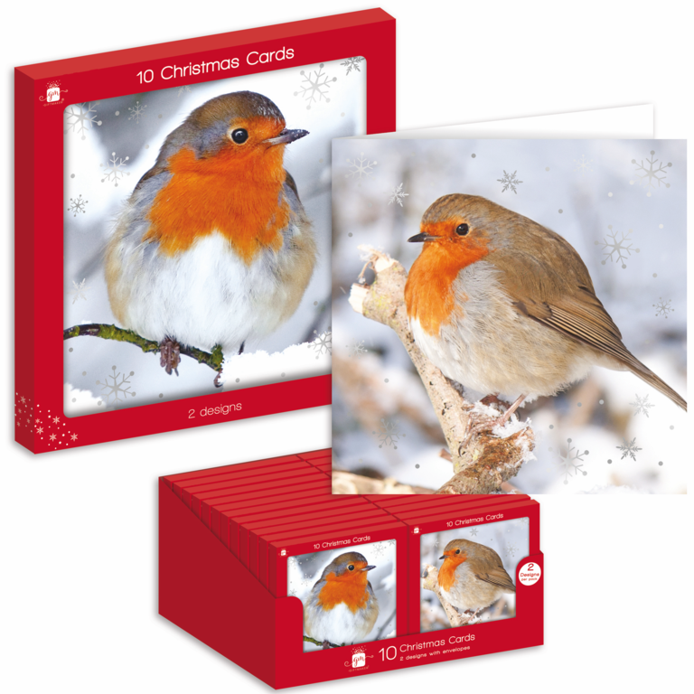 Ig Design Square Christmas Cards Pack 10 - Robins