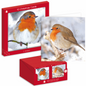 Ig Design Square Christmas Cards Pack 10 - Robins