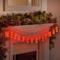 Premier Lit Merry Christmas Light String - 1.2m