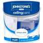 Ceiling Paint 2.5L