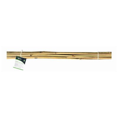 10PC 90CM BAMBOO PLANT SUPPORT