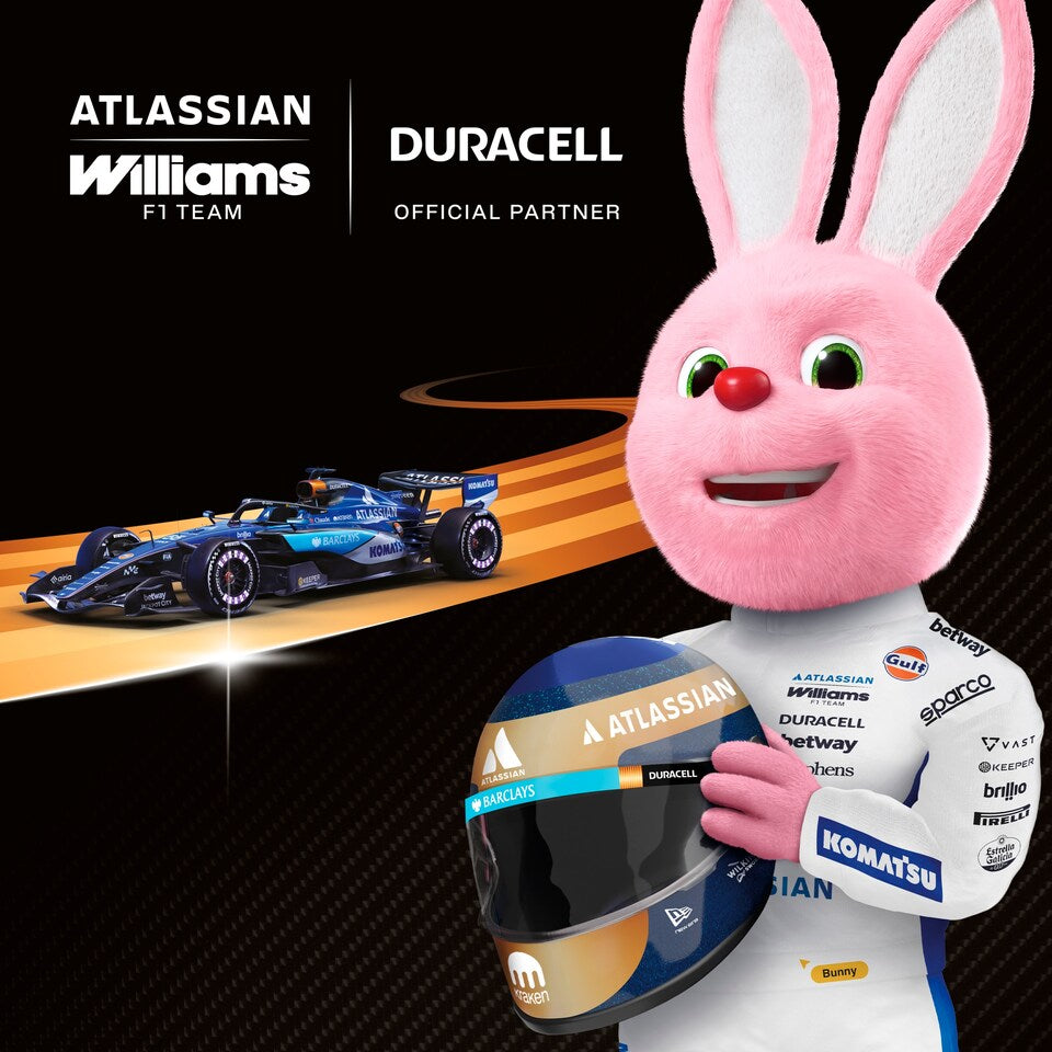 Duracell Plus AA Alkaline Batteries 4 Pack – POWER BOOST Actives
