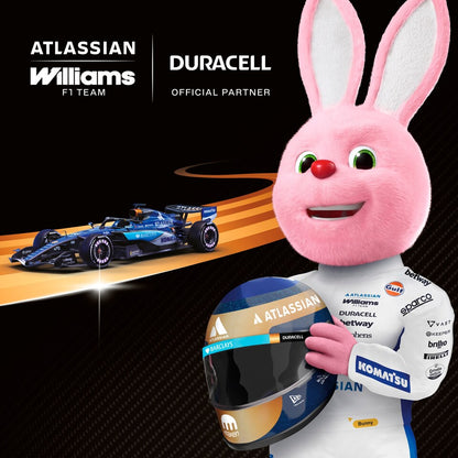 Duracell Plus AA Alkaline Batteries 4 Pack – POWER BOOST Actives