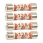 Securlec 13A Fuses