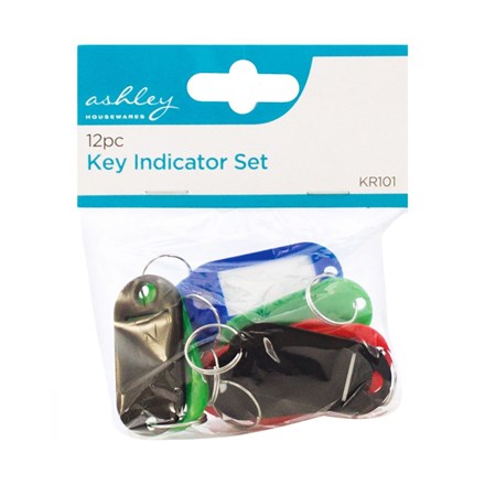 12PC Multicolour Plastic Keyring Indicator Set – Assorted Colour Key Tags
