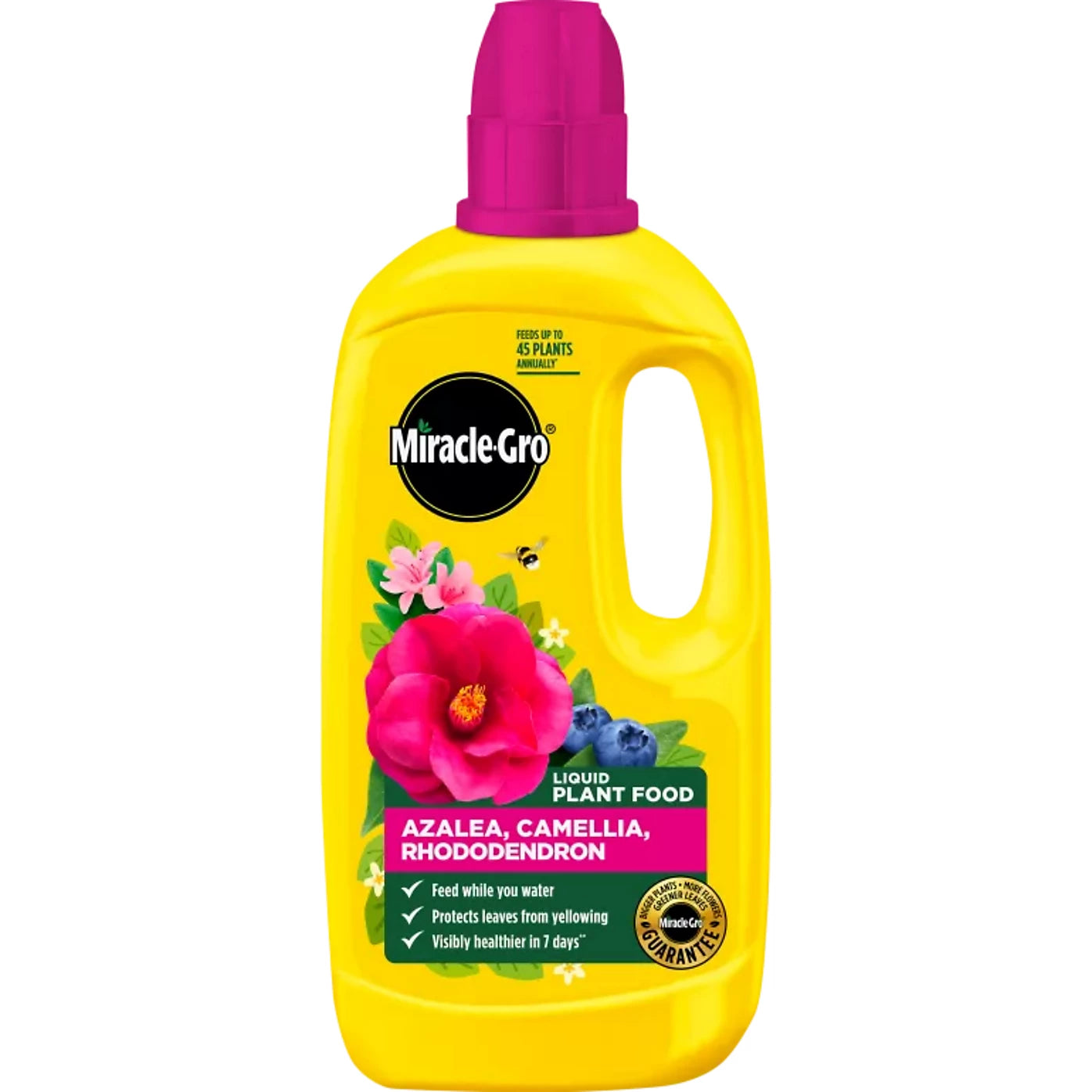 Miracle-Gro Ericaceous Liquid Plant Food 800ml – Feed for Azaleas, Camellias & Rhododendrons
