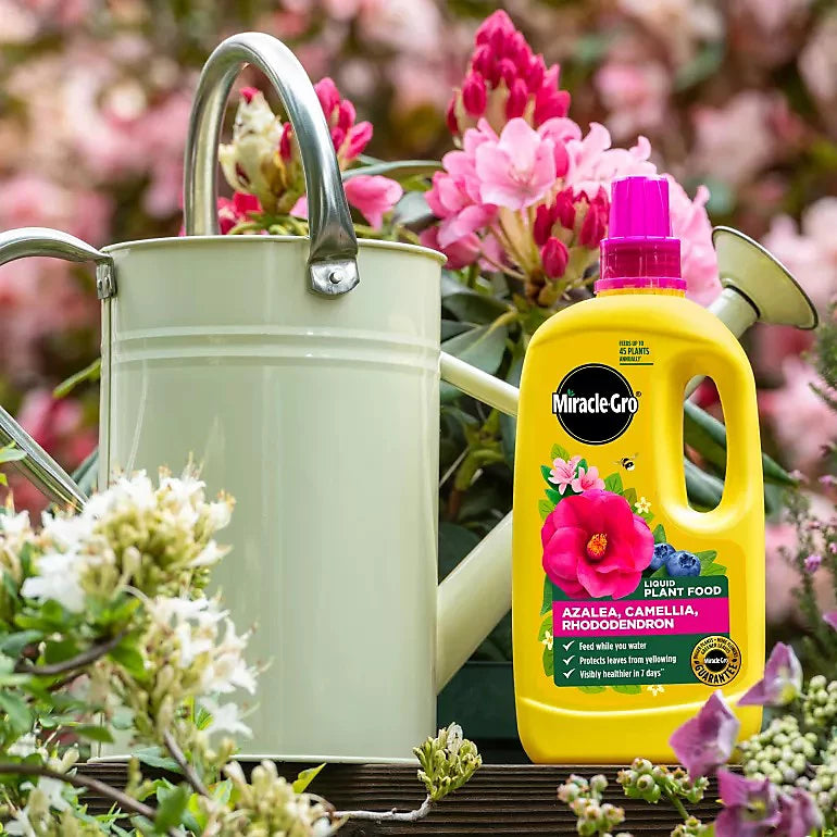 Miracle-Gro Ericaceous Liquid Plant Food 800ml – Feed for Azaleas, Camellias & Rhododendrons
