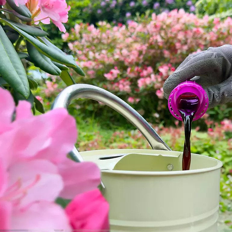 Miracle-Gro Ericaceous Liquid Plant Food 800ml – Feed for Azaleas, Camellias & Rhododendrons