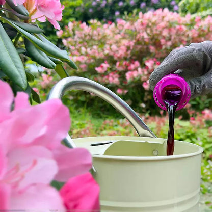 Miracle-Gro Ericaceous Liquid Plant Food 800ml – Feed for Azaleas, Camellias & Rhododendrons