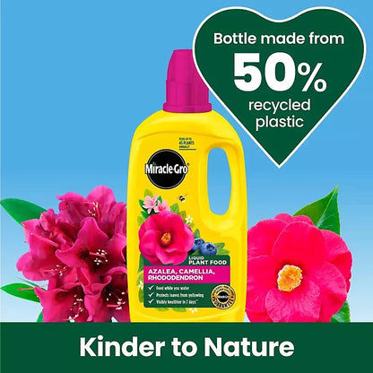 Miracle-Gro Ericaceous Liquid Plant Food 800ml – Feed for Azaleas, Camellias & Rhododendrons