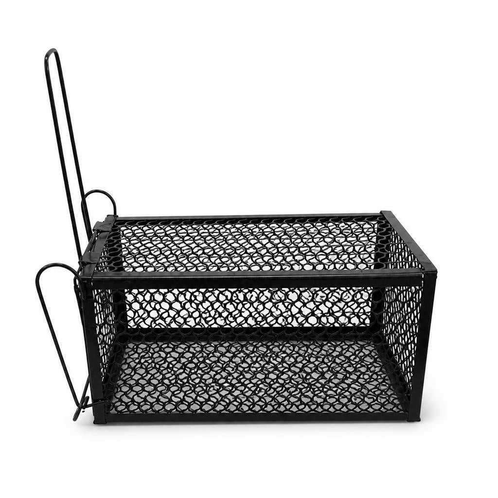Black metal rat cage trap with closed gate