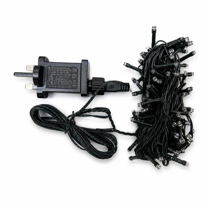 Kingavon 100 LED String Light Set with plug and lights
